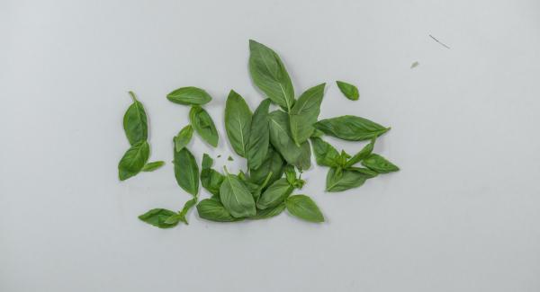 Quitar las hojas de la albahaca, cortarla a trozos grandes y hacer un puré fino con el aceite de oliva. Sazonar con un poco de sal.