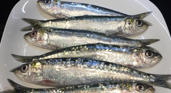 Limpiamos las sardinas con ayuda de papel de cocina, solo quitamos las escamas que estén sueltas sin quitar ni la tripa ni la cabeza